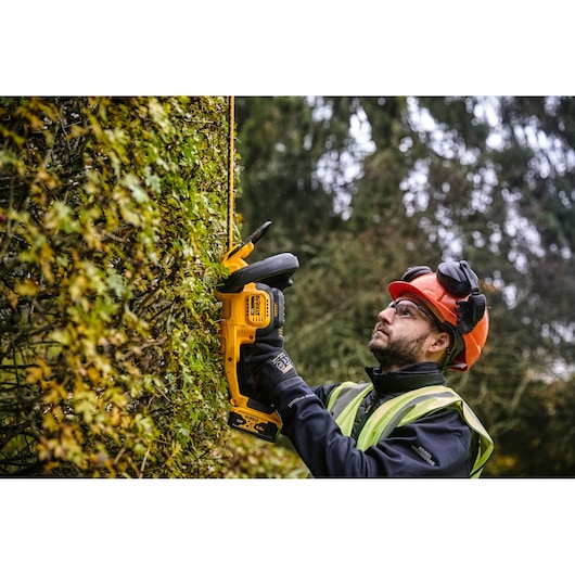 Person trims hedge outdoors with yellow DEWALT cordless hedge trimmer DCMHT563N, wearing safety gear.