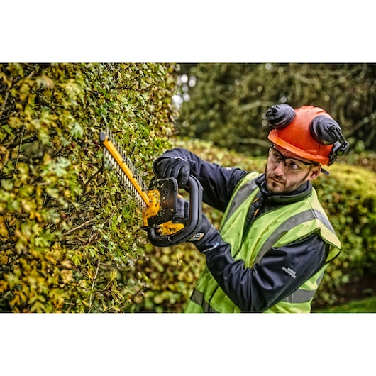 Person trims hedge with yellow DEWALT cordless hedge trimmer in outdoor setting wearing safety gear.