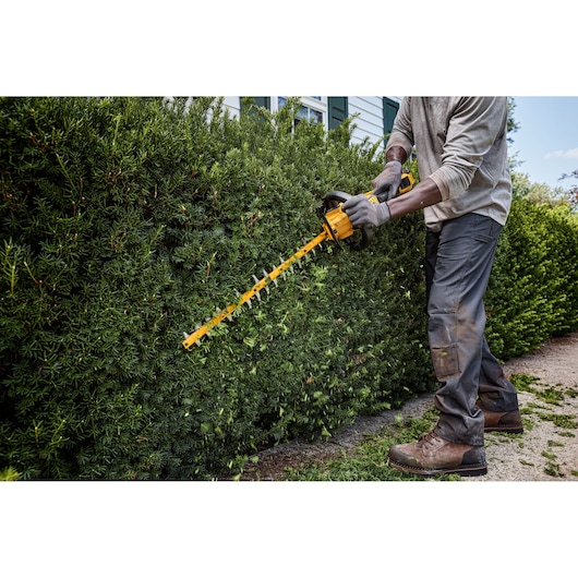 Person uses a DEWALT cordless hedge trimmer to trim dense green bushes outdoors.