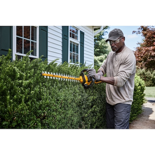 Person trimming hedges with a DEWALT cordless hedge trimmer outside a house with green window shutters.
