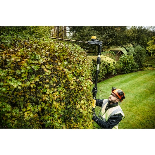 Person trimming tall hedges with a DEWALT pole hedge trimmer outdoors in a garden.