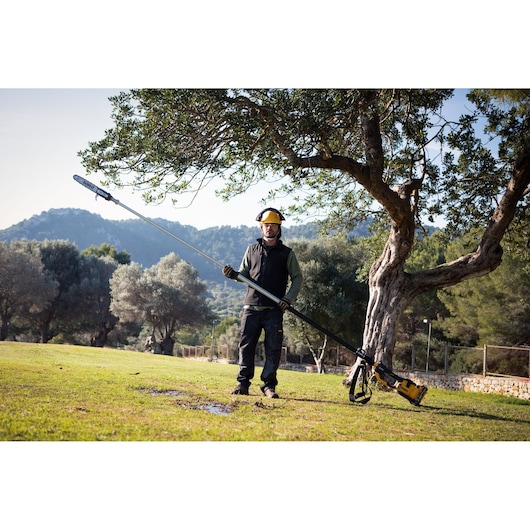 Person using DEWALT pole saw outdoors, trimming tree branches in a grassy area with hills in the background.