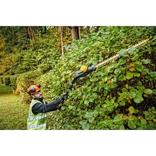18V XR HÆKKEKLIPPER STANG 55CM 25MM SOLO